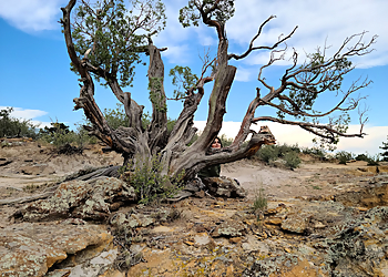 Colorado Springs Public Parks Palmer Park