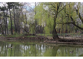 Detroit Hiking Trails Palmer Park