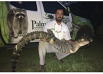 Columbia Animal Removal Palmetto Wildlife Extractors