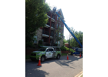 Columbia Animal Removal Palmetto Wildlife Extractors