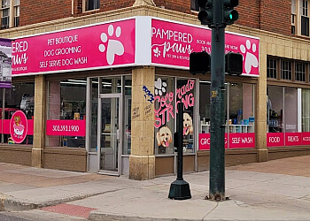 Pampered Paws Denver Pet Grooming image 1