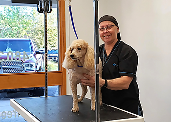Pampered Paws Cage Free Grooming Salon Tempe Pet Grooming image 1