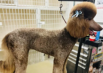 Pampered Pooches Pet Salon and Pawtique - Pearland, TX Pet Grooming - Service Highlights