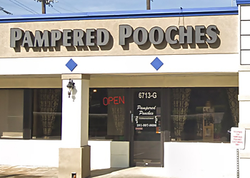 Pampered Pooches Pet Salon and Pawtique Pampered Pooches Pet Salon and Pawtique - Pearland, TX Pet Grooming - Business Exterior Image
