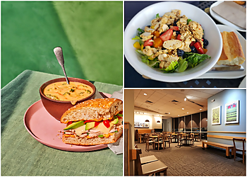 Hayward Sandwich Shops Panera Bread Hayward