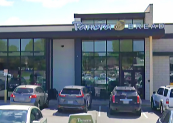 Springfield Sandwich Shops Panera Bread Springfield