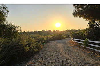 Fullerton Hiking Trails Panorama Nature Preserve