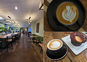 Paper Fox Coffee - Tallahassee, FL Cafe - collage image(highlights)