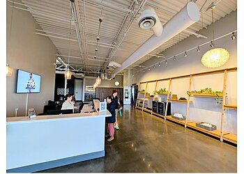 Henderson Yoga Studios Paradigm Collective