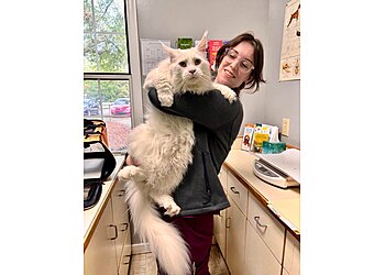 Augusta Veterinary Clinics Paradise Animal Hospital