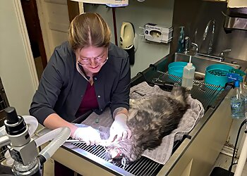 Augusta Veterinary Clinics Paradise Animal Hospital