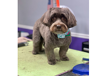 Cape Coral Pet Grooming Paradise Grooming