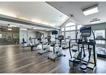 Jacksonville Apartments For Rent Paradise Island