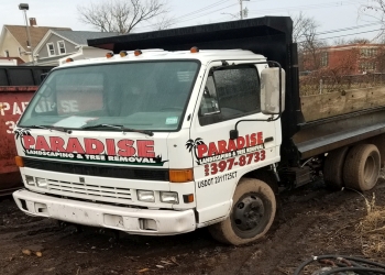 Paradise Landscaping and Tree Removal New Haven Tree Services