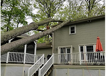 Paradise Landscaping and Tree Removal New Haven Tree Services
