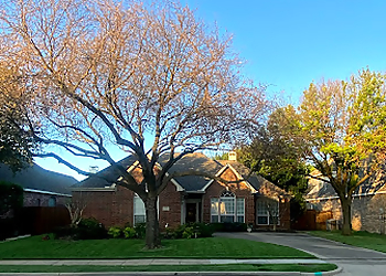 McKinney Tree Services Paramount Tree Care