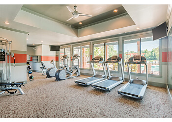 Chattanooga Apartments For Rent Parc 1346 Apartments