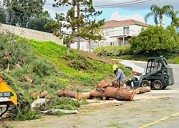 Fullerton Tree Services Parga Tree Service, Inc.