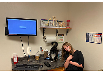 Provo Veterinary Clinics Park Animal Hospital