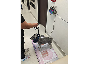 Simi Valley Veterinary Clinics Park Animal Hospital