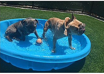 Simi Valley Veterinary Clinics Park Animal Hospital