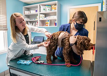 Durham Veterinary Clinics Park Veterinary Hospital & Urgent Care