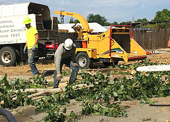 Boise City Tree Services Parker Tree Service