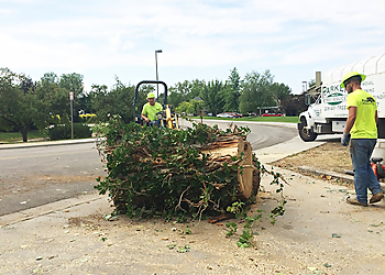 Boise City Tree Services Parker Tree Service