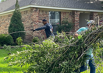 Plano Tree Services Parker Tree Service