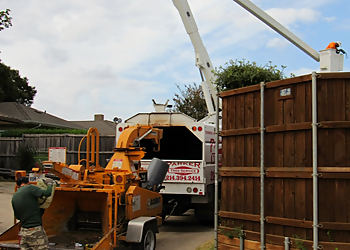 Plano Tree Services Parker Tree Service