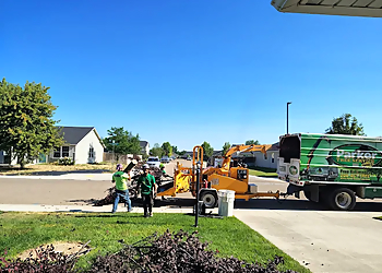 Parker Tree Service, Inc. - Boise City, ID Tree Services - Team Working Image