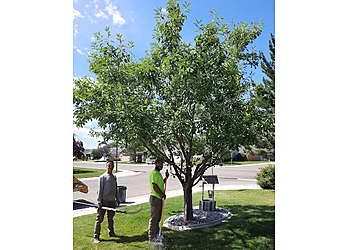 Parker Tree Service, Inc. Parker Tree Service, Inc. - Boise City, ID Tree Services - Service Vehicle Image