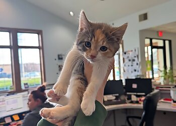 Warren Veterinary Clinics Parkview Animal Hospital