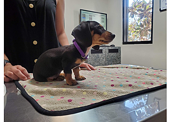 Glendale Veterinary Clinics Parkview Pet Clinic