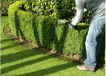 Minneapolis Lawn Care Services Parkway Lawn Services