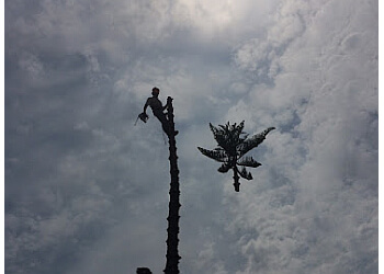 Parsons tree service - Hollywood, FL Tree Services - Team Working Image