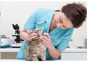 Pembroke Pines Veterinary Clinics Pasadena Lakes Animal Clinic