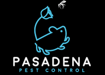 Pasadena Pest Control Pasadena Pest Control Companies image 1