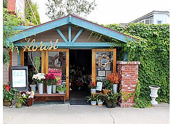 Ventura Florists Passion Flowers