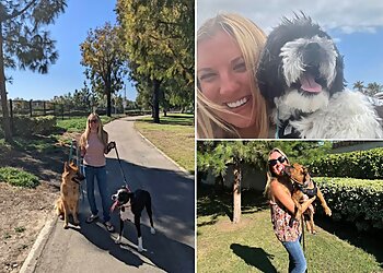 Irvine Dog Walkers Passionate 4 Pets, LLC