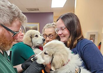 Charleston Veterinary Clinics Patrick Veterinary Clinic