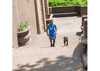 Patrick's Pet Care Patrick's Pet Care