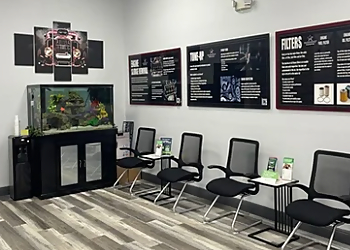 Fort Lauderdale Car Repair Shops Patriot Auto Care