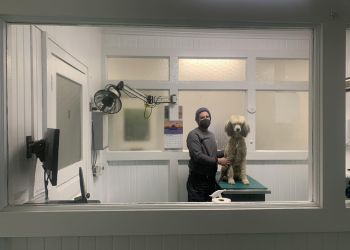 Detroit Veterinary Clinics Patterson Dog & Cat Hospital