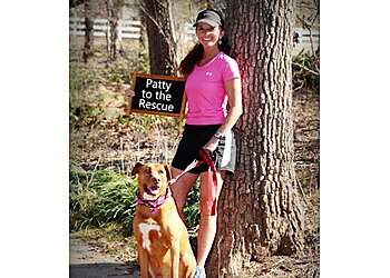 Arlington Dog Walkers Patty to the Rescue Pet Sitting