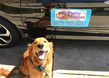 3 Best Dog Walkers in Arlington, TX - ThreeBestRated