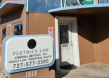 St Petersburg Divorce Lawyers Paul S. Horning - PLOTNICK LAW, P.A