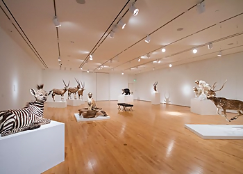 Lafayette Places To See Paul and Lulu Hilliard University Art Museum