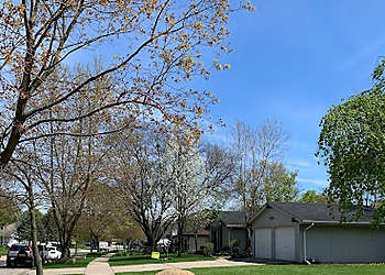 Paulo & Sons Tree Services Aurora Tree Services image 1