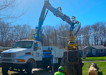New Haven Tree Services Paulo's Landscaping and Tree Removal LLC